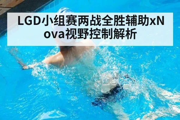 LGD小组赛两战全胜辅助xNova视野控制解析